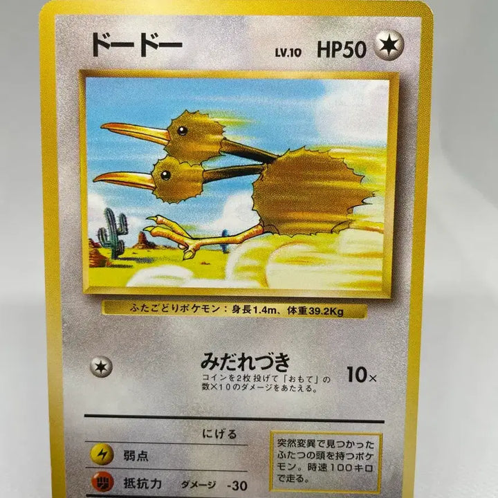[BUNJANG] 1996 Japanese "Dudu" Old Back Vintage Pokémon Card / 1996년 일판 두두 구카드 올드백 빈티지 고전카드 포켓몬카드