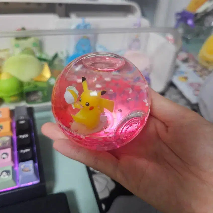 [BUNJANG] Pokemon Pikachu Water Ball / 포켓몬 워터볼 피카츄 판매합니다!