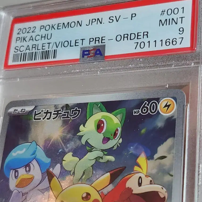 [BUNJANG] Pokemon Card Japanese Scarlet &amp; Violet Pikachu Promo 001/SV-P / 포켓몬카드 일판 스칼렛 바이올렛 피카츄 프로모 001/SV-P