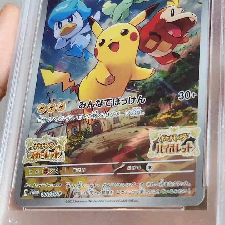 [BUNJANG] Pokemon Card Japanese Scarlet &amp; Violet Pikachu Promo 001/SV-P / 포켓몬카드 일판 스칼렛 바이올렛 피카츄 프로모 001/SV-P PSA9
