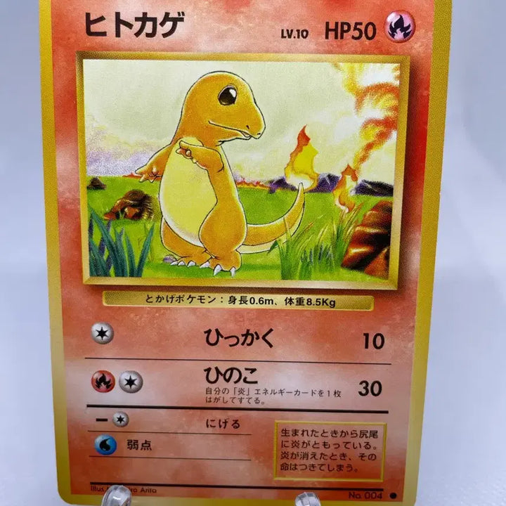 [BUNJANG] 1996 Japanese Charizard Old Back Vintage Pokémon Card / 1996년 일판 파이리 구카드 올드백 빈티지 고전카드 포켓몬카드