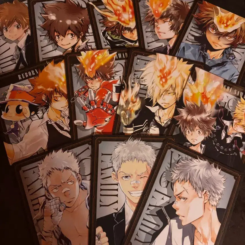 [BUNJANG] Katekyo Hitman Reborn! The Hundred Dilemma Cards - Tsuna &amp; Ryohei Bundle / 가히리 더헌드레드 100 딜레마 카드 츠나 봉고레 프리모 료헤이
