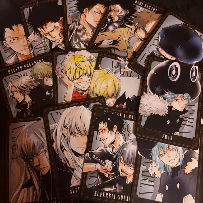 [BUNJANG] Katekyo Hitman Reborn! The Hundred Dilemma Cards - Xanxus, Squalo, Belphegor, etc. Bundle / 가히리 더헌드레드 100 딜레마 카드 잔자스 스쿠알로 벨페고르 등