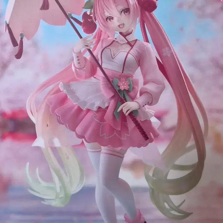 [BUNJANG] Taito Sakura Miku Figure / 하츠네 미쿠 타이토 사쿠라 미쿠 피규어