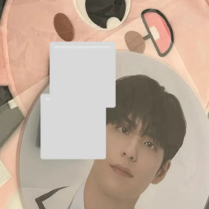 [BUNJANG] DAY6 Wonpil Philkki Uchiwa Cover Set / 데이식스 원필 필끼 우치와 커버 세트