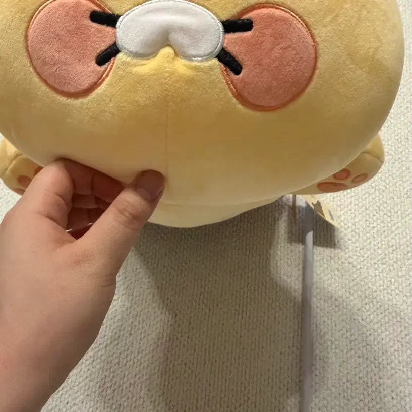 [BUNJANG] Kakao Friends Choonsik Large Plush Doll / 새상품) 카카오프렌즈 춘식이 인형 / 춘식 인형 / 춘식이 대형인형