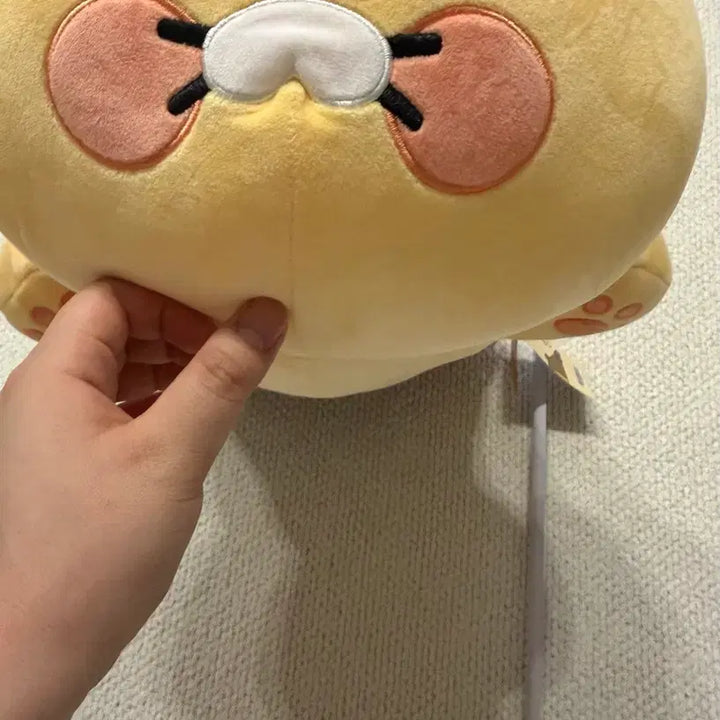 [BUNJANG] Kakao Friends Choonsik Large Plush Doll / 새상품) 카카오프렌즈 춘식이 인형 / 춘식 인형 / 춘식이 대형인형