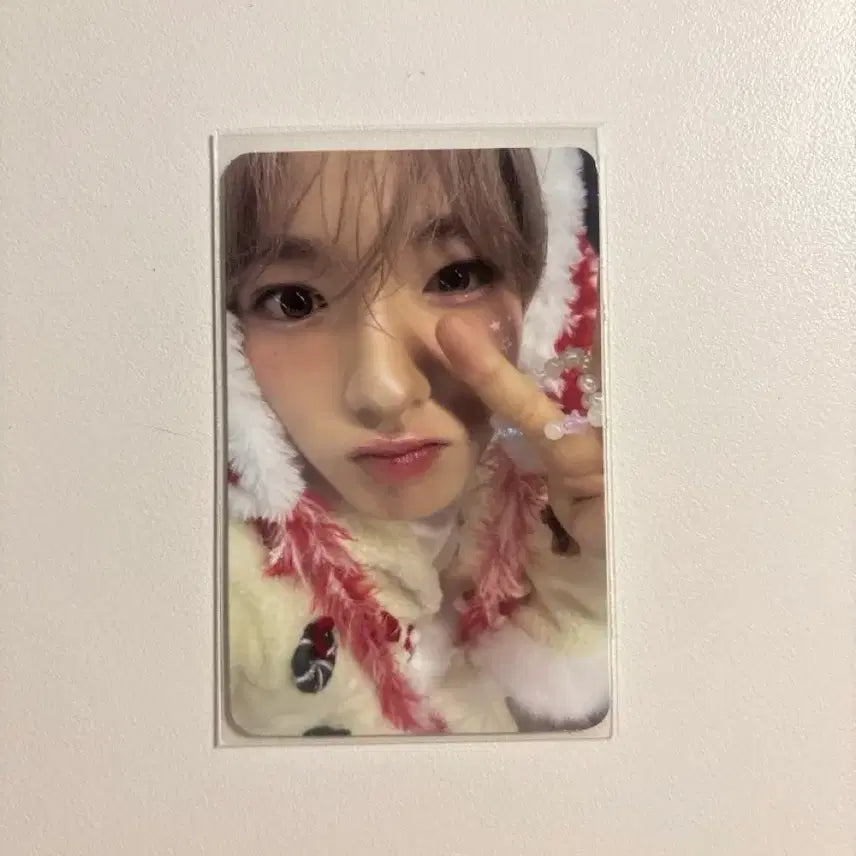 [BUNJANG] NCT Sakuraya Initial Limited Photocard / 티티 사쿠야 포토카드 엔위시 초회한정 판매