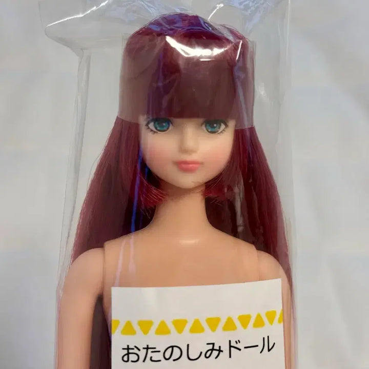 [BUNJANG] Ricacastle Otano Shimiodol Shion (Unsealed) / 리카캐슬 시온