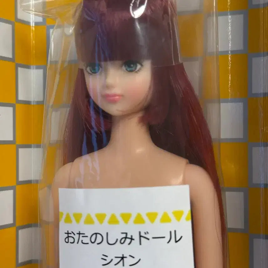 [BUNJANG] Ricacastle Otano Shimiodol Shion (Unsealed) / 리카캐슬 시온