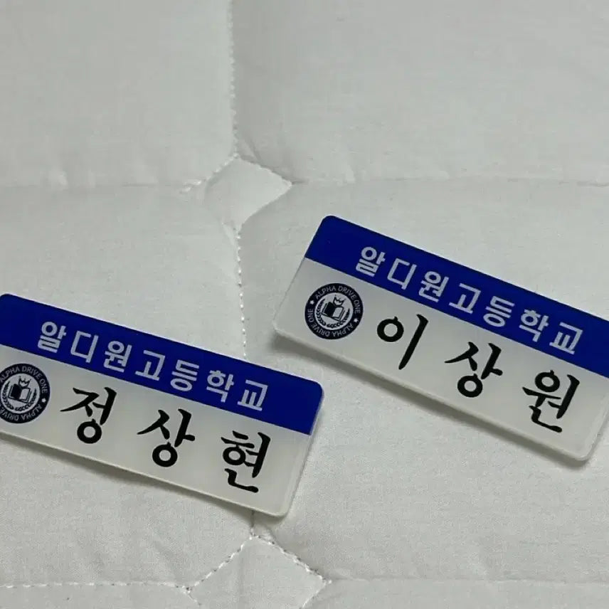 [BUNJANG] Alphas Drive High School Name Tags Bundle Set / 알파드라이브원고등학교 명찰 일괄 판매
