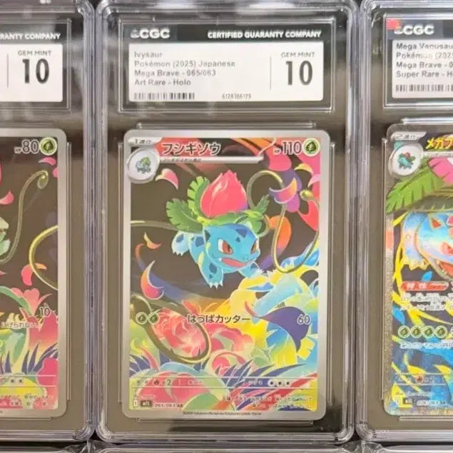 [BUNJANG] Pokemon Card Bulbasaur Evolution Line CGC 10 Japanese Mega Brave / 포켓몬카드 이상해씨 진화트리 (CGC 10 일판 메가브레이브)