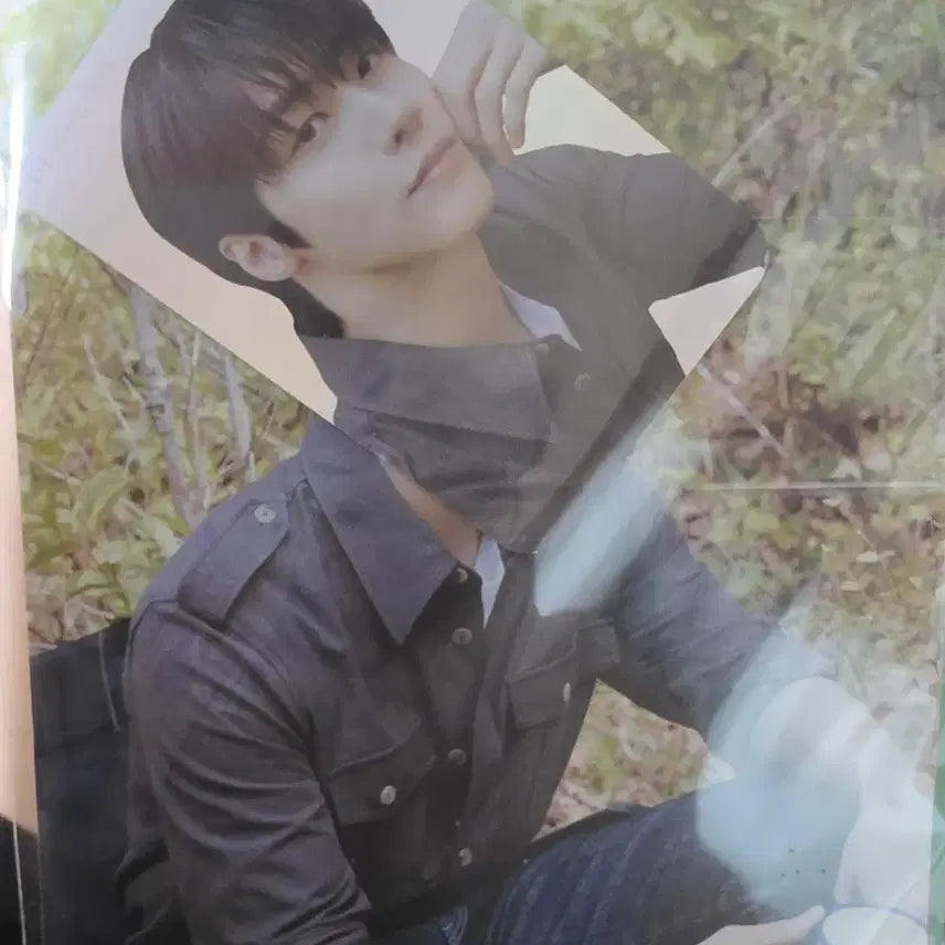 [BUNJANG] N.Flying Forest Hologram Photocard Set Seunghyub Sealed / 엔플라잉 포레스트홀로그램 포토카드 세트 승협 새상품