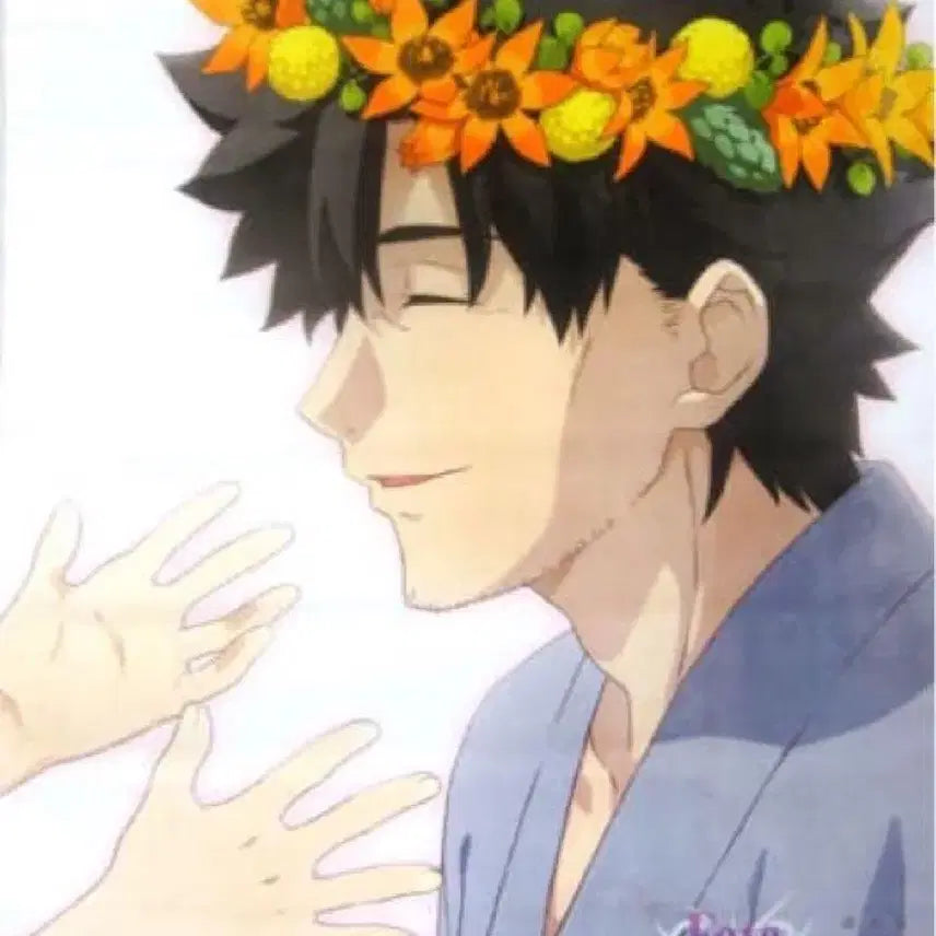 [BUNJANG] Fate/stay night Heaven&
