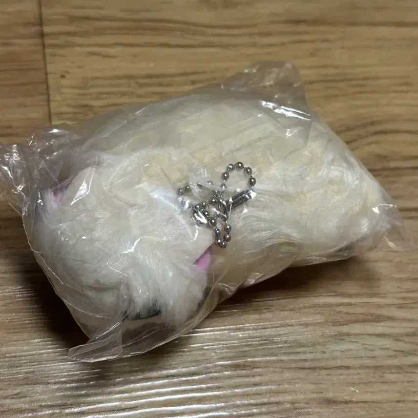 [BUNJANG] UnTamed Cat Gacha 1st Edition Beige, White / 길들여지지 않는 고양이 가챠 1탄 베이지색, 흰색