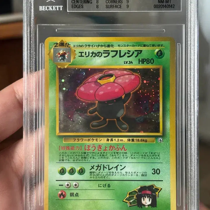 [BUNJANG] Pokemon Card Erika&