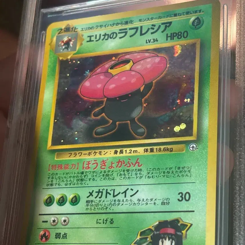 [BUNJANG] Pokemon Card Erika&