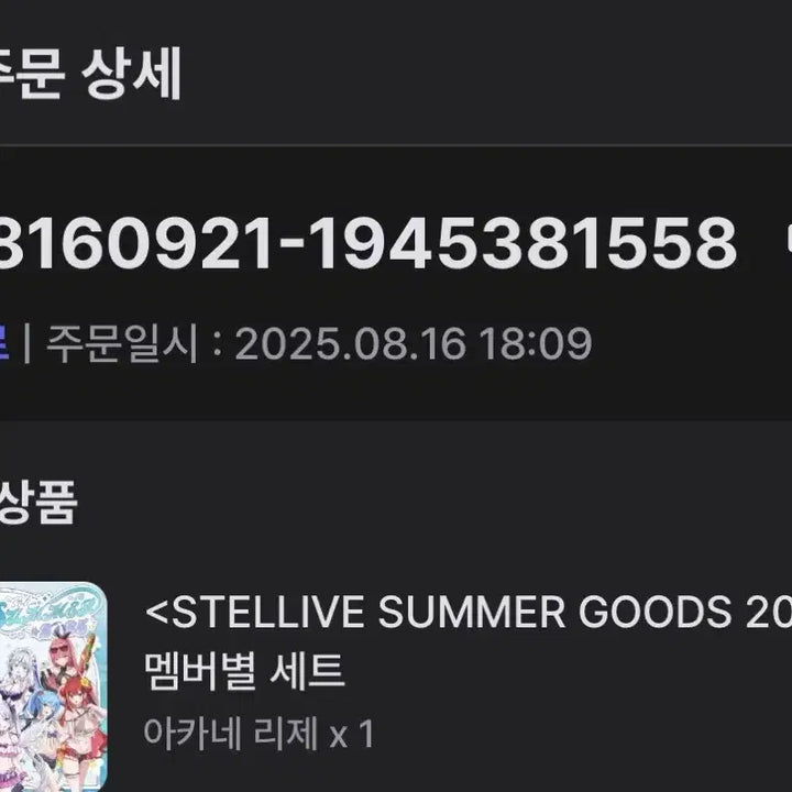 [BUNJANG] Stellive 2025 Summer Akane Rize Version Member Set / 스텔라이브 서머 굿즈 2025 멤버별 세트