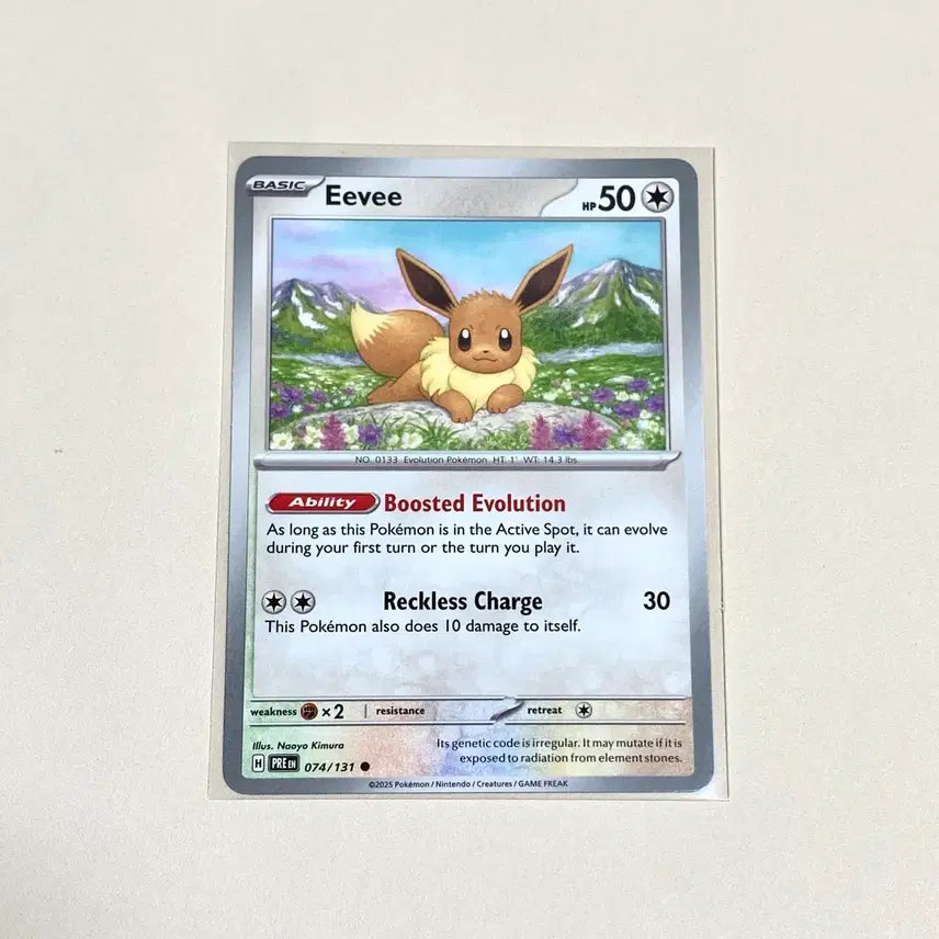 [BUNJANG] Pokemon English Eevee Card (North America Edition) / (포켓몬카드) 북미 이브이카드 (영판, 영어판)
