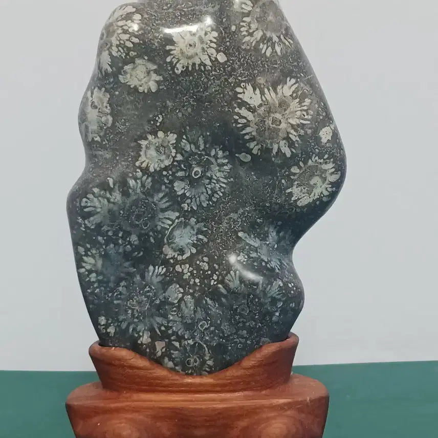 [BUNJANG] Cheongsong Flower Stone Bai Guk Hwa / 청송끛돌