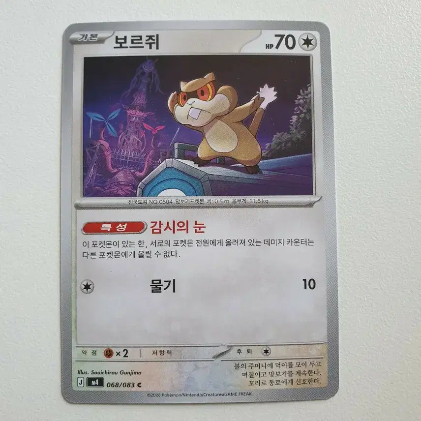 [BUNJANG] Pidgey Pokemon Card / 보르쥐 포켓몬카드
