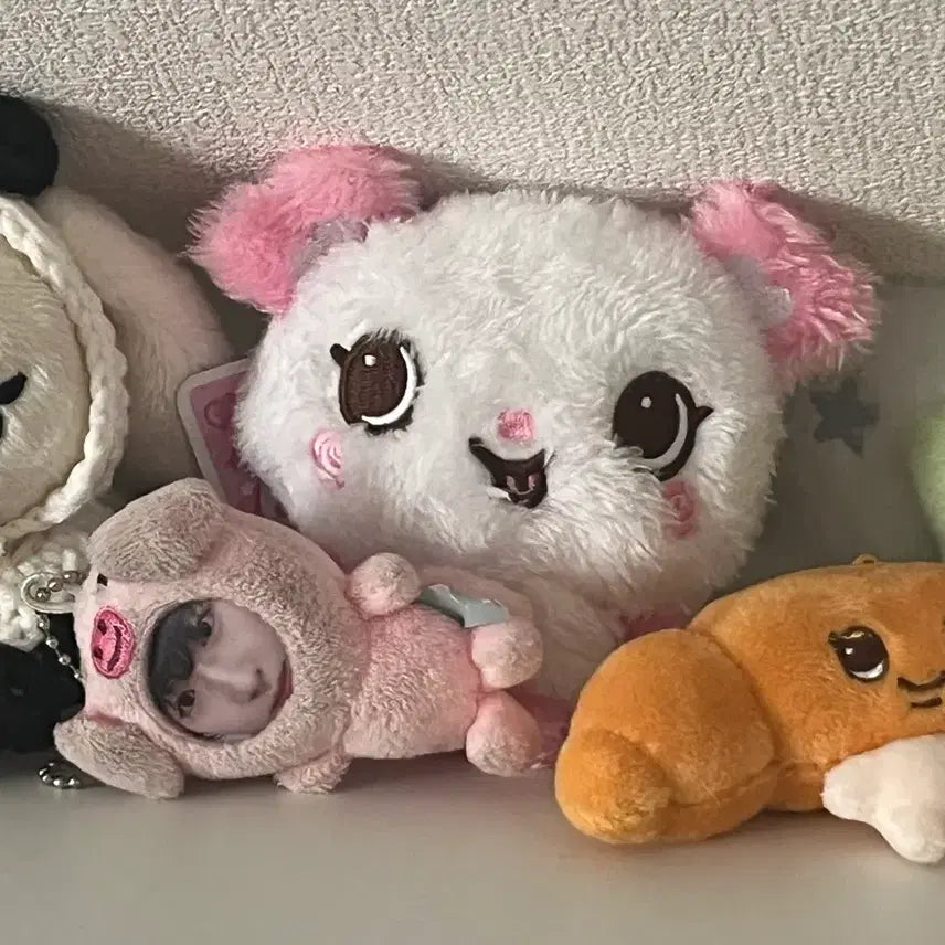 [BUNJANG] NCT WISH Sakuya Pangyi Doll / 엔시티 위시 사쿠야 인형 팡이 양도
