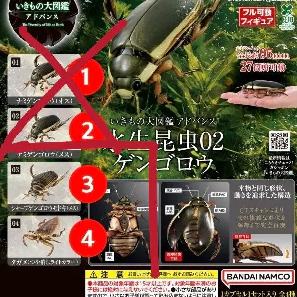 [BUNJANG] Bandai Bio-Gacha Advance Aquatic Insects Vol. 2 Bundle Set (Sealed) / 미개봉) 반다이 생물대도감 어드밴스 수생곤충2 물방개 물방개붙이 물장군 일괄