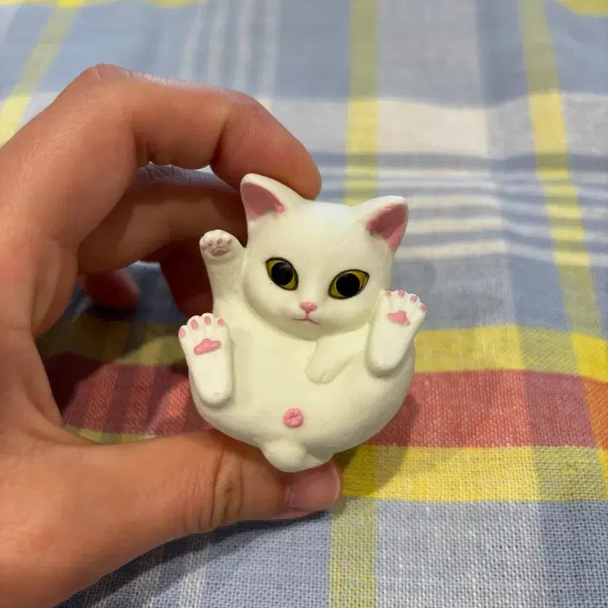 [BUNJANG] Cute Round Cat Gacha / 귀여운 동글동글 고양이 가챠
