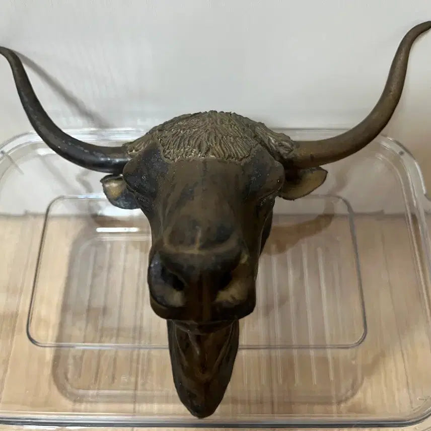 [BUNJANG] Ox Head Ornament / 소머리 장식품