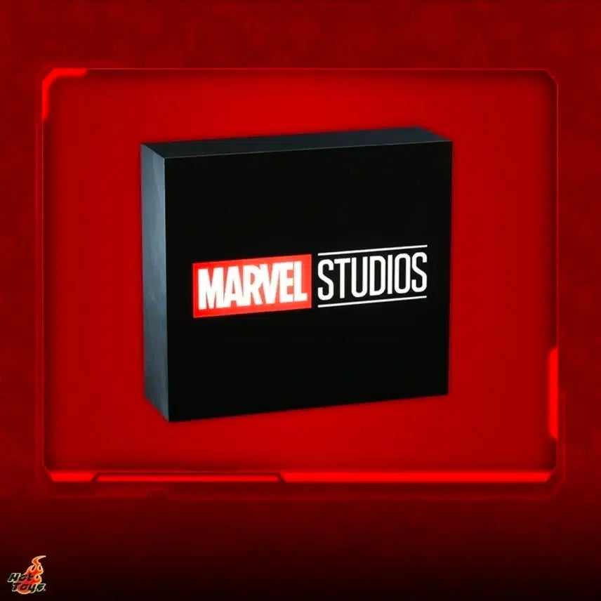 [BUNJANG] Hot Toys Marvel Lightbox (Black) / 핫토이 마블 라이트박스 (블랙)