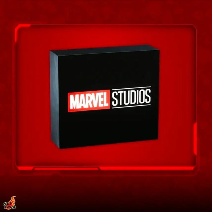 [BUNJANG] Hot Toys Marvel Lightbox (Black) / 핫토이 마블 라이트박스 (블랙)