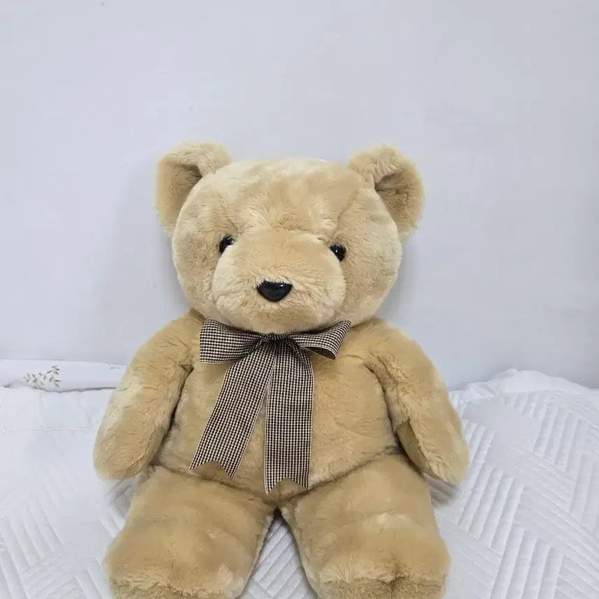 [BUNJANG] Seyeong Korea Carino Bear (X-Bear) Large 50cm Plush Doll / 곰인형 카리노 엑스베어 대형 50cm 곰돌이 인형 애착인형 세영코리아