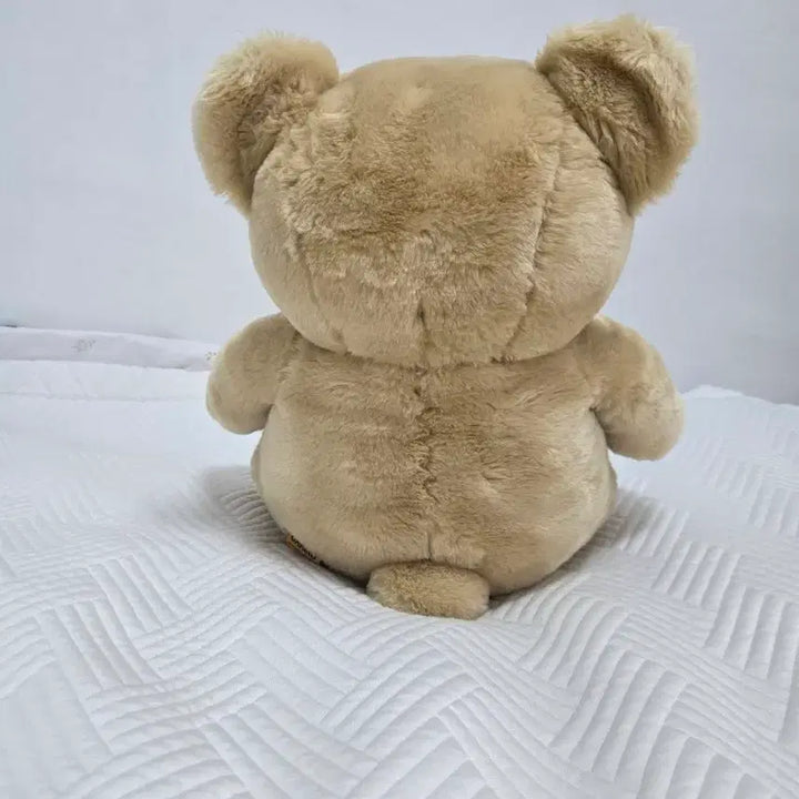 [BUNJANG] Seyeong Korea Carino Bear (X-Bear) Large 50cm Plush Doll / 곰인형 카리노 엑스베어 대형 50cm 곰돌이 인형 애착인형 세영코리아