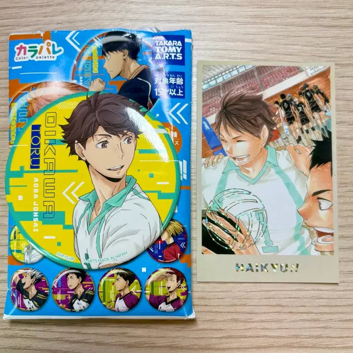 [BUNJANG] Haikyuu!! Oikawa Memorial Collection Card &amp; Can Badge Bundle Set / 하이큐 오이카와 메모리얼 콜렉션 카드 캔뱃지 일괄 판매