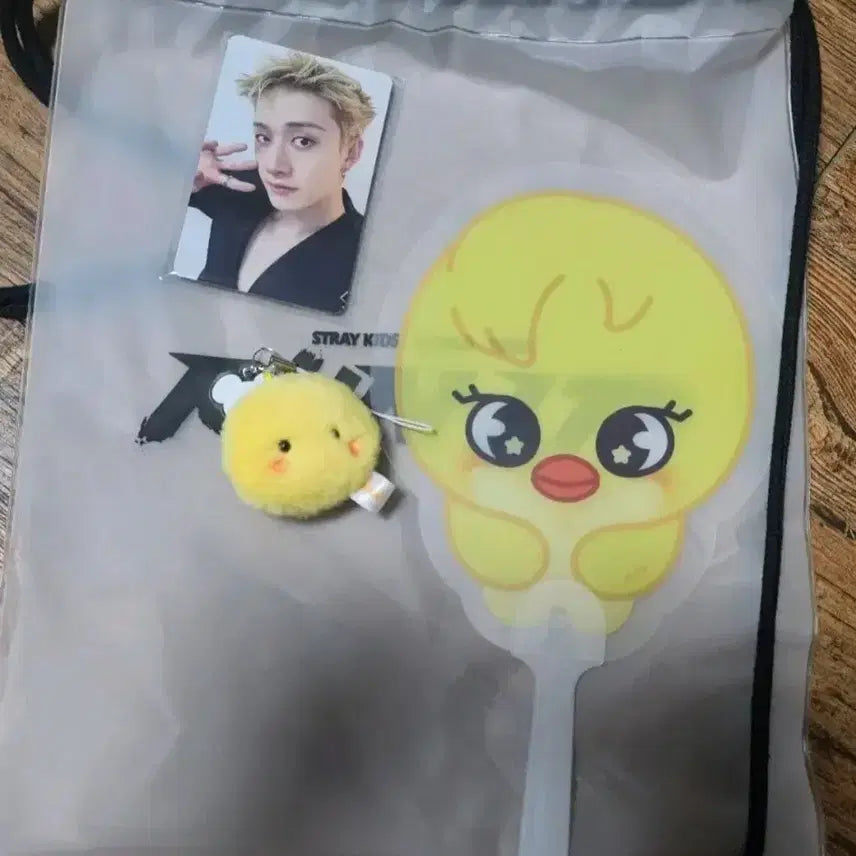 [BUNJANG] Stray Kids 29th Day Entry Gift Bundle Set / 스키즈 29일 입장기프트 뽁아리 셋트팔아요