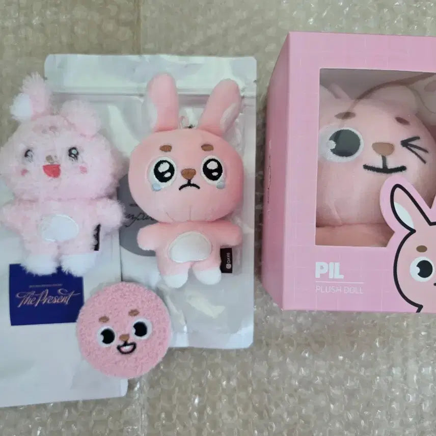 [BUNJANG] DAY6 Wonpil Unfiltered Unsealed Bundle Set / [일괄] 원필 언필터드 시크릿 뿌앵필 뿌엥필