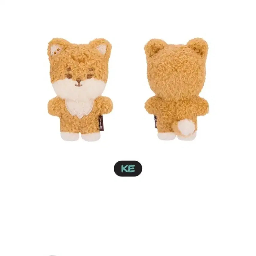 [BUNJANG] Day6 Japan MD Bundle Set Bag Charm Magnet / [일괄] 데이식스 일본 MD 케 백참 마그넷