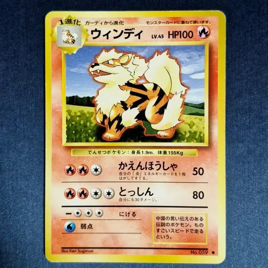[BUNJANG] 1996 Base Set Windy First Edition Old Back / 1996 베이스셋 윈디 초판 올드백