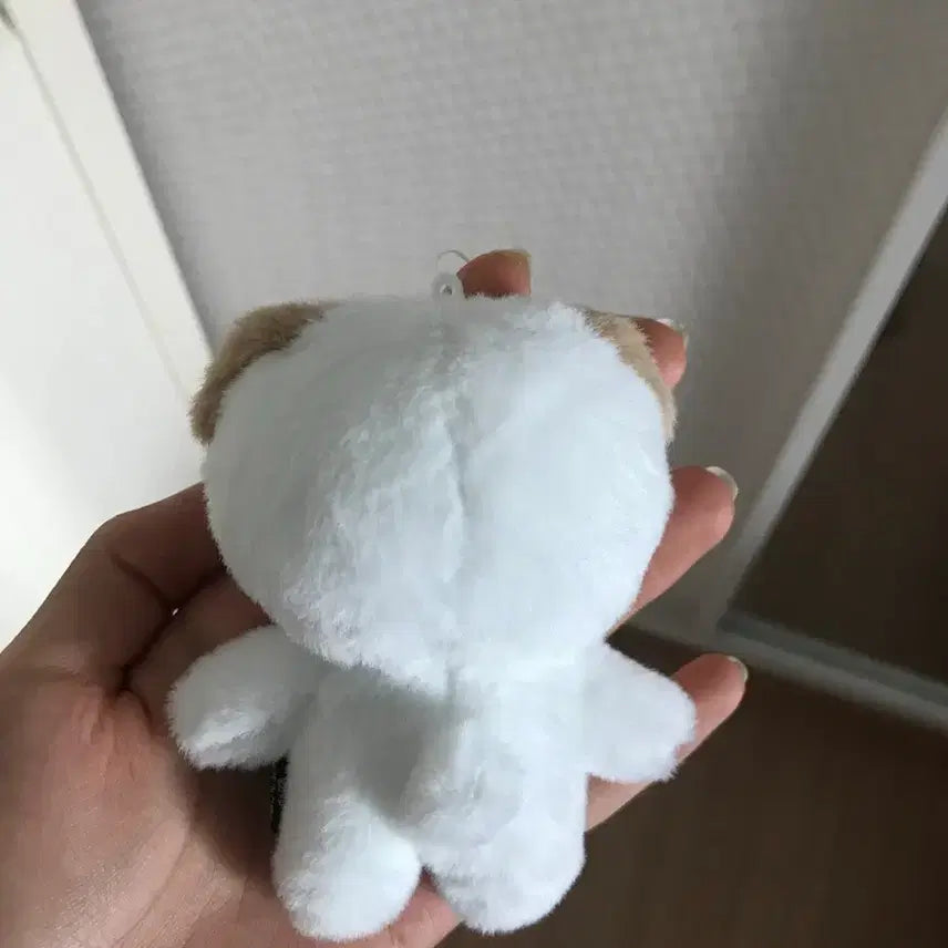 [BUNJANG] Day6 Young K Petit Merz 10CM Photocard Holder / 데이식스 쁘띠멀즈 10CM 돈 양도