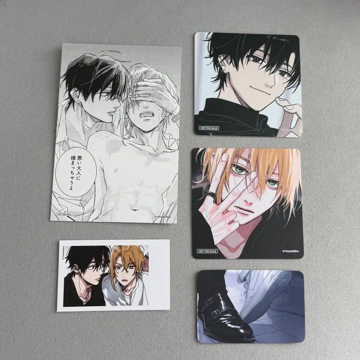 [BUNJANG] Tunick Tashiro Neranyeoseogeun Cafe May Sega Bundle Set Photocard / 투니크 타시로 너란 녀석은 카페 메이 세가 특전 카드 일괄