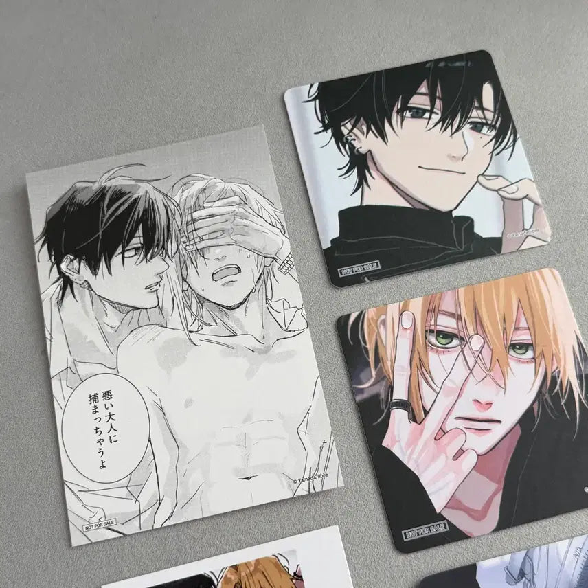 [BUNJANG] Tunick Tashiro Neranyeoseogeun Cafe May Sega Bundle Set Photocard / 투니크 타시로 너란 녀석은 카페 메이 세가 특전 카드 일괄