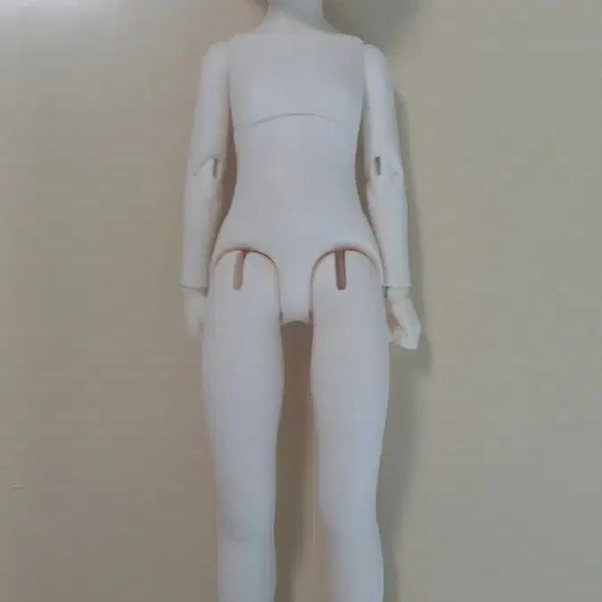 [BUNJANG] NINE9 1/6 Scale Female Ball-Jointed Doll Full Set / 나인9 구체관절인형 본체 + 가발 + 의상 + 신발