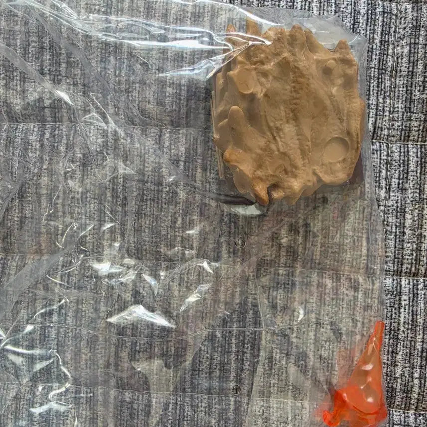 [BUNJANG] Pokemon Shelgon Figure / 포켓몬스터 보만다 피규어