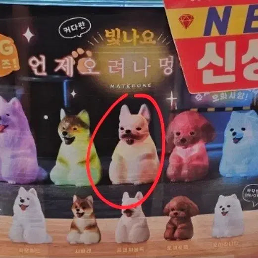 [BUNJANG] Glow-in-the-Dark Puppy Gacha Bulldog Figure / 빛나요 언제오려나 강아지 가챠 불독 팝니다.