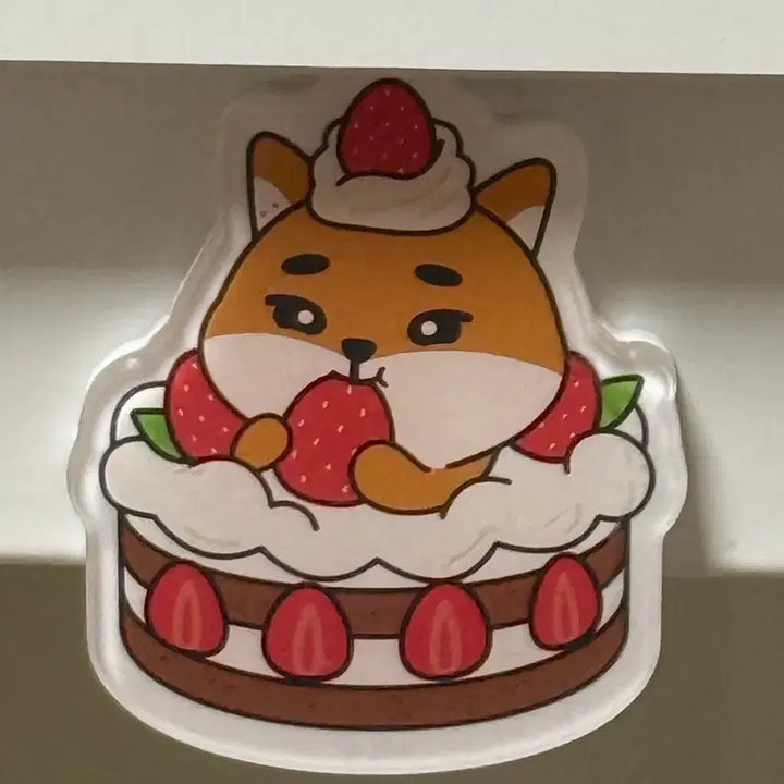 [BUNJANG] Day6 Daejeon Concert Magnet Strawberry Cake / 데이식스 대전콘 마그넷 딸기케 딸기시루케