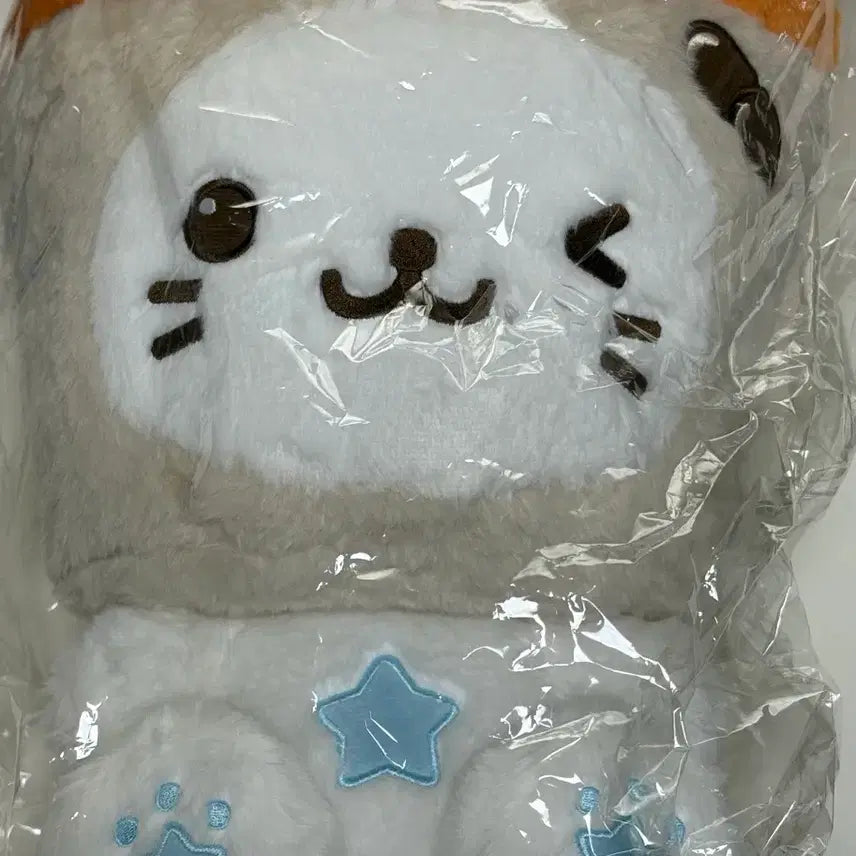 [BUNJANG] NCT WISH Yushi 30cm Doll Bubble Cat / 엔시티 위시 유우시 30cm 위시돌 버블냥