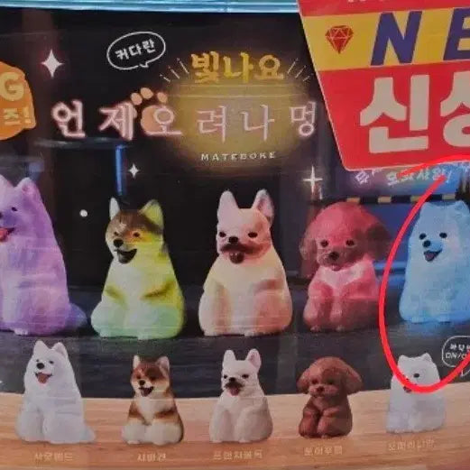 [BUNJANG] Binnayo Eonjeoryeona Pomeranian Figure with Light / 빛나요 언제오려나 강아지 포메라니안 가챠 팝니다.