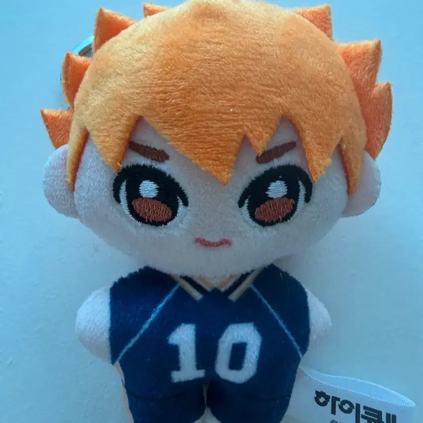 [BUNJANG] Haikyuu!! Shoyo Hinata Plush / 하이큐 히나타 쇼요 누이