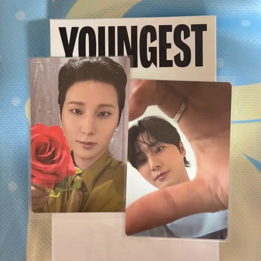 [BUNJANG] DAY6 Young K Youngest Wallet Full Set Photocard / (원가이하)영케이 영기스트 지갑 풀구성 양도