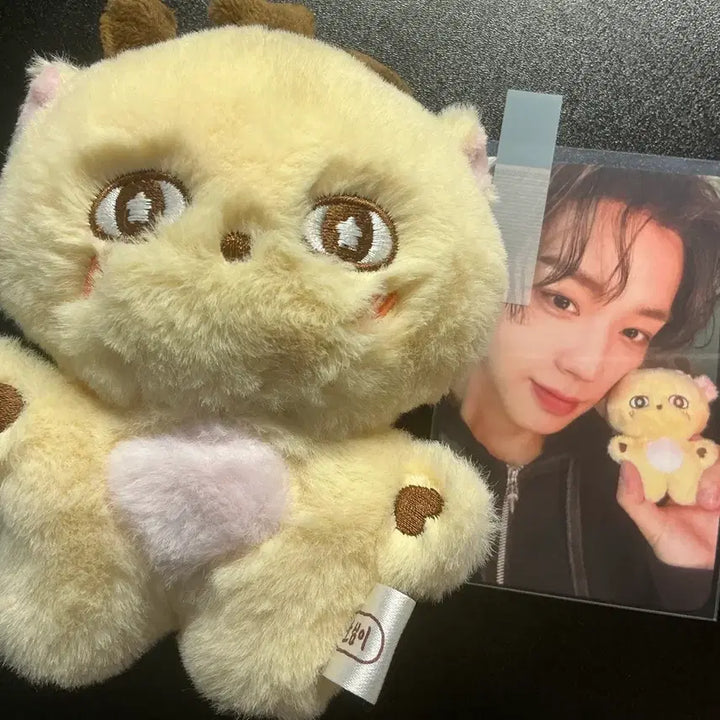 [BUNJANG] Park Ji Hoon Sosimi Doll Photocard Bundle Set / 박지훈 소심이 인형 포카 일괄 양도 판매